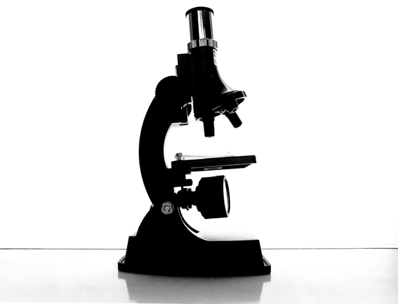 Microscope