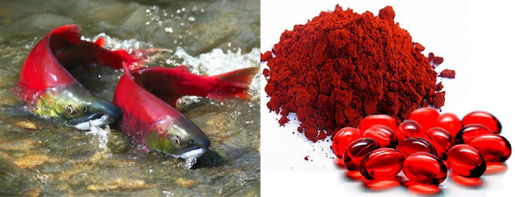 Astaxanthin Fish Seafood Antioxidant